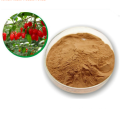 Nutrition organique goji berry lyophilisé poudre